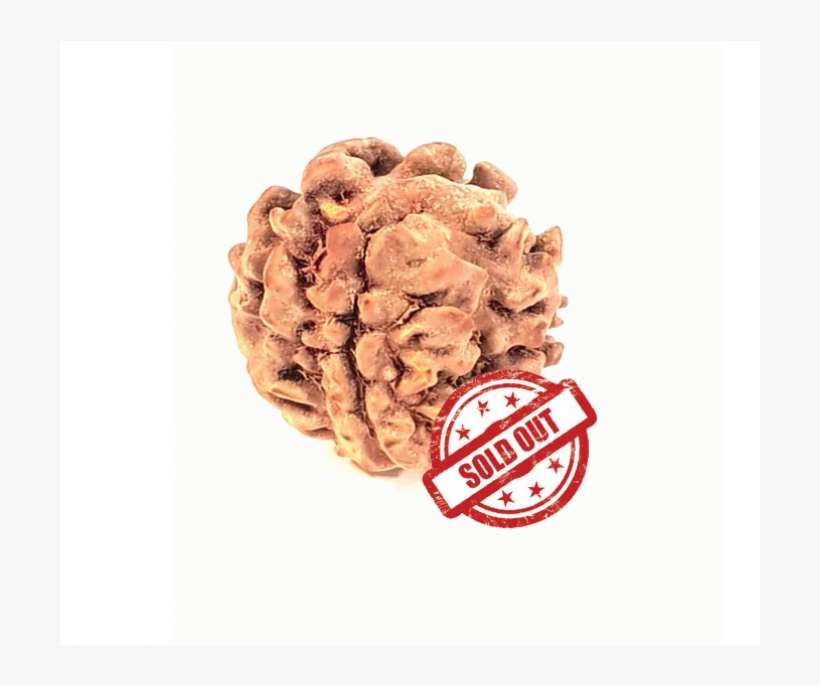 1 Mukhi Nepali )(lord Shiva) - Breakfast Cereal, transparent png download