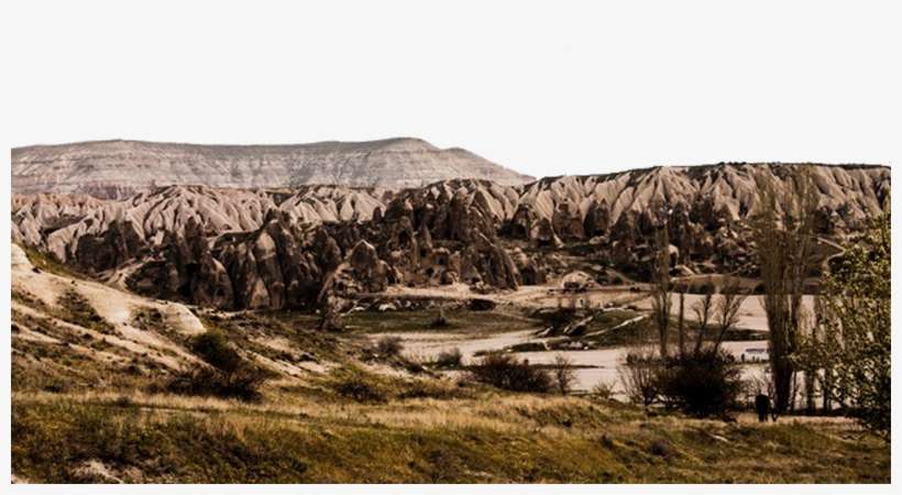 Mountain Background Picture Hd Png - Tree, transparent png download