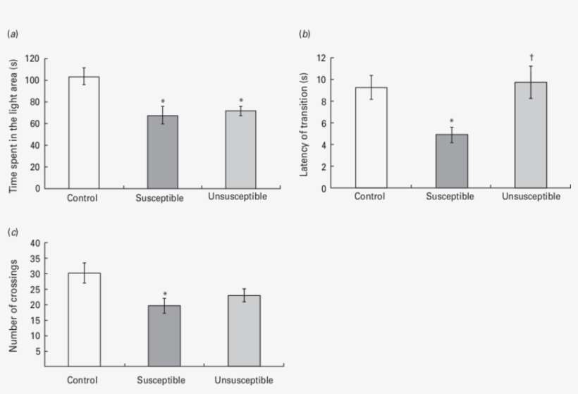 Effects Of Social Defeat On Light/dark Preference Test - Diagram, transparent png download