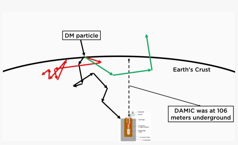 Dmatis - Diagram, transparent png download