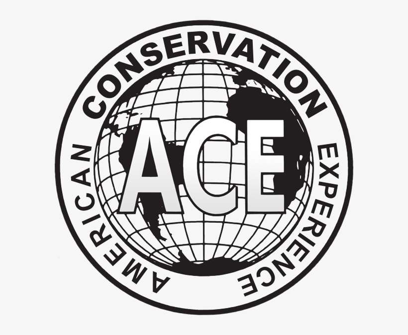 Ace Logo - American Conservation Experience Logo, transparent png download