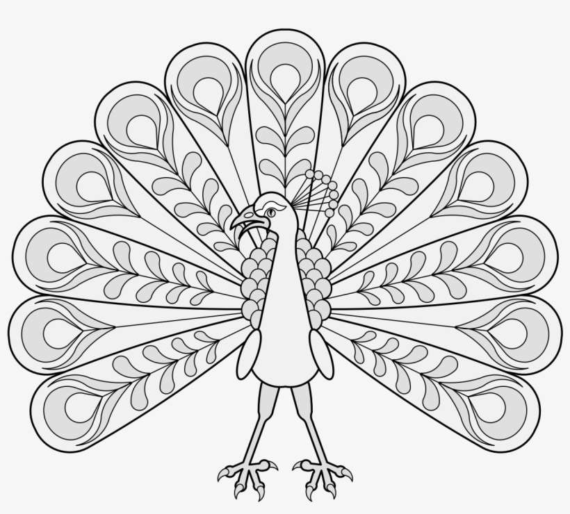 Details, Png - Line Art, transparent png download