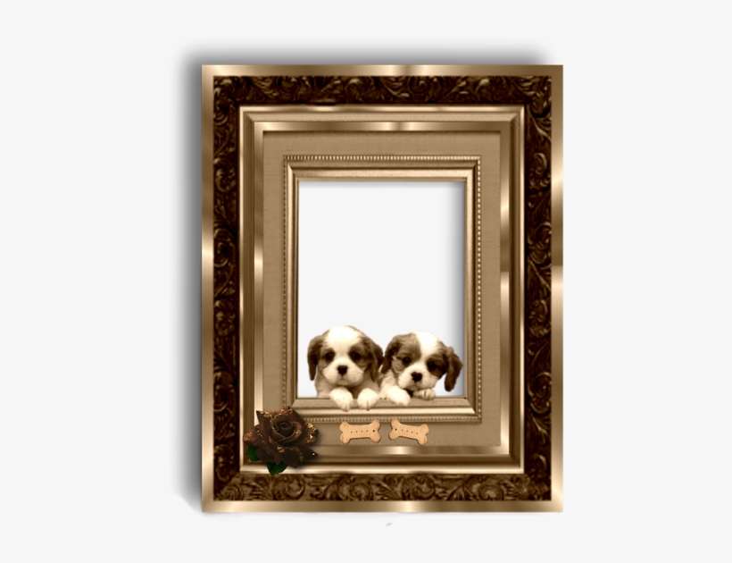 Gold, Dog, Puppy, Picture Frame - Free Transparent Photo Frame Puppy Designs, transparent png download