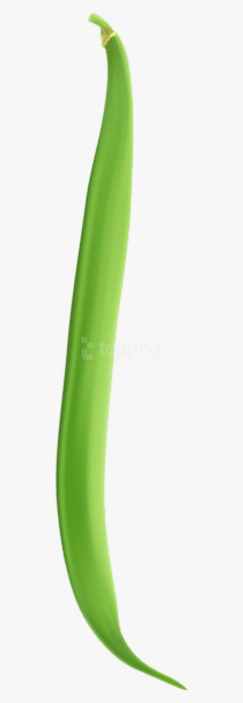 Free Png Download String Bean Png Images Background Green Bean