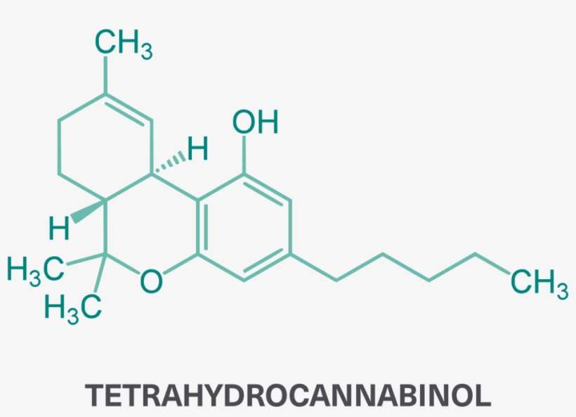 Why Patients In Canada May Look To Medical Marijuana - Thc Molecule, transparent png download