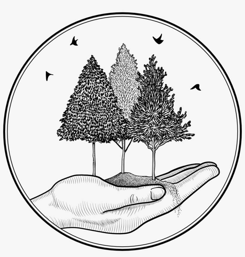 1126 X 1124 5 - Line Art, transparent png download