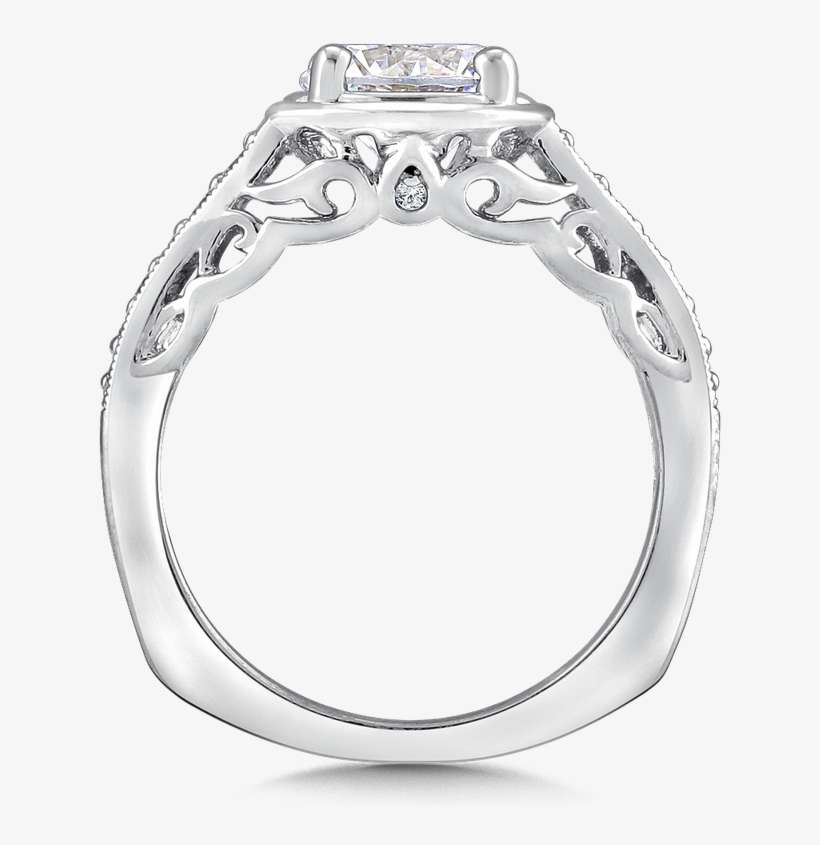 Valina Diamond Engagement Ring Mounting In 14k White - Pre-engagement Ring, transparent png download