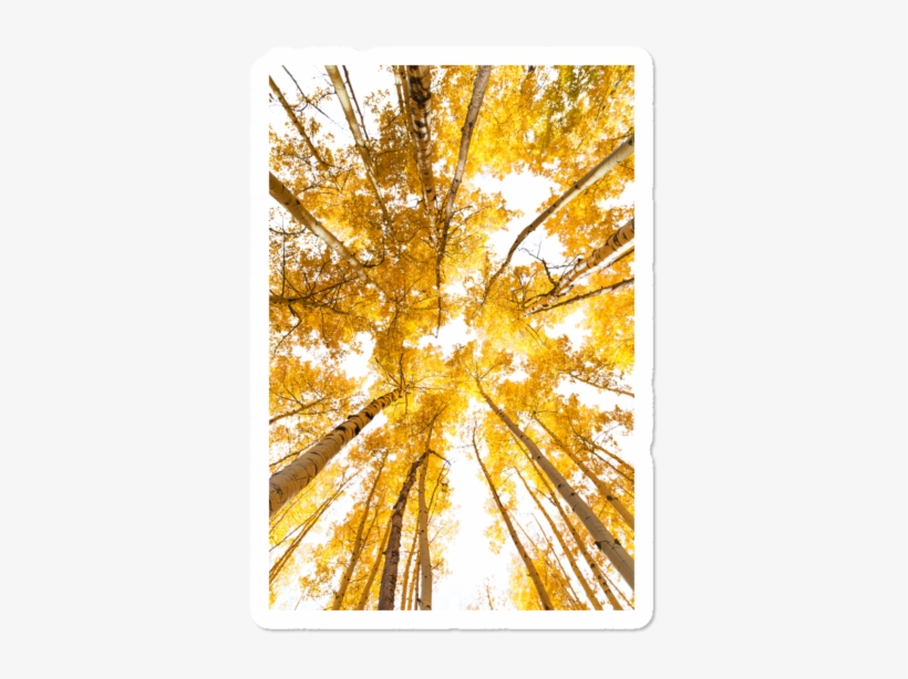 Postcard Perfect Utah $3 - Grove, transparent png download
