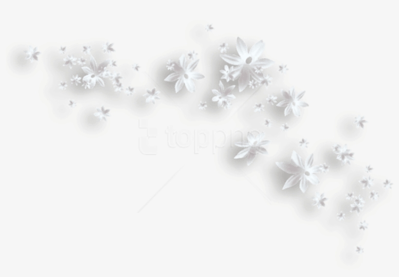 Free Png Download White Flowers Decorative Clipart - White Flower Transparent Png, transparent png download