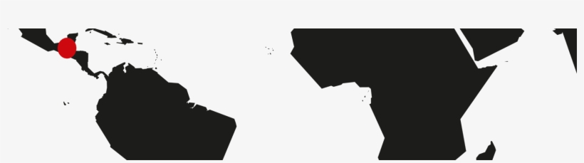 Grown At The High Altitude Of Finca Puerta Verde, The - Latin America, transparent png download