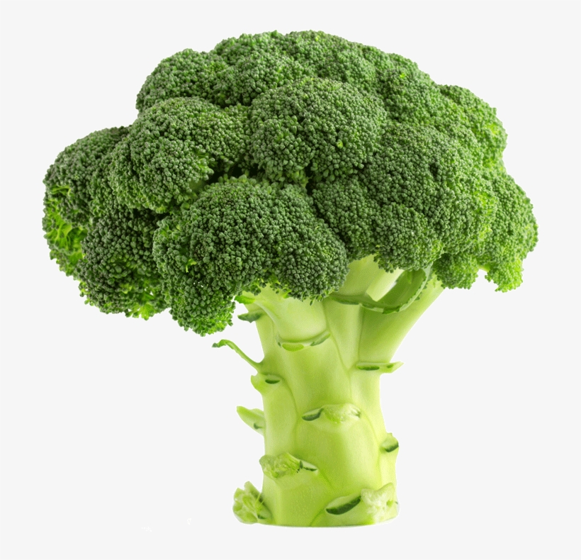 Plants That Grow On Loamy Soil PNG Image Transparent PNG Free