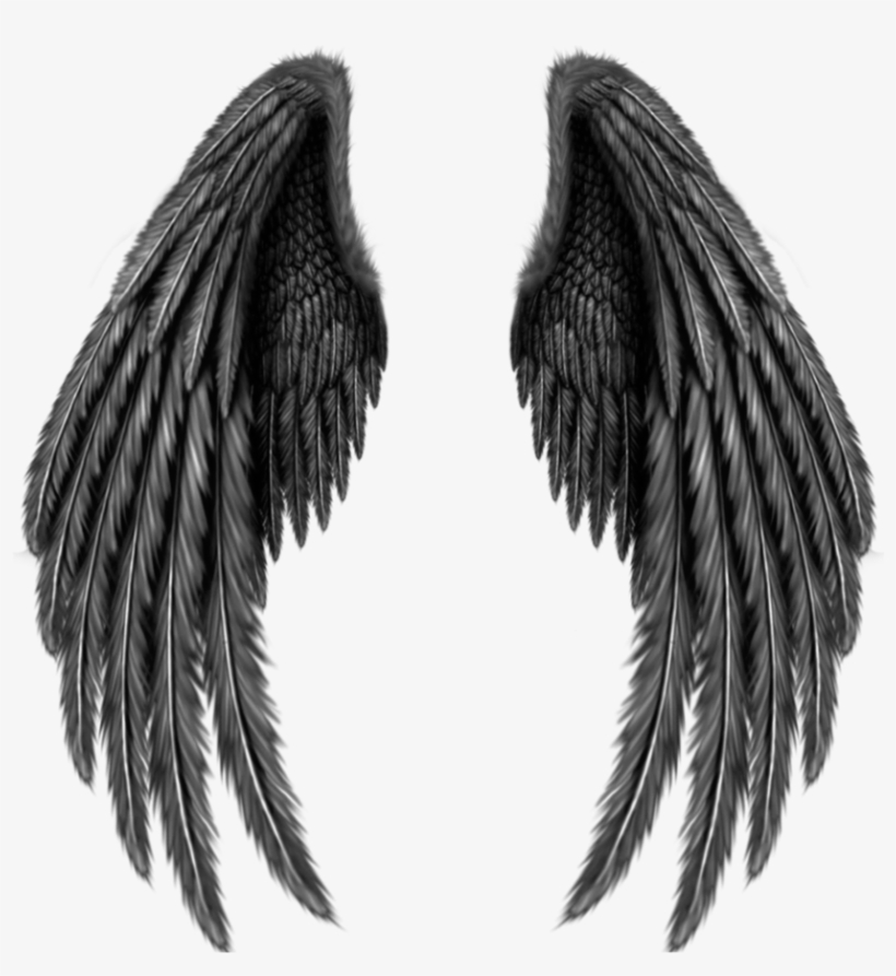#wings #evil #bad #wing #angel #angelwings #angelwing - Angel Black Wings Png, transparent png download