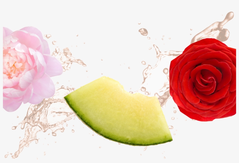 Created With Sketch - Summer Bouquet Zoflora, transparent png download