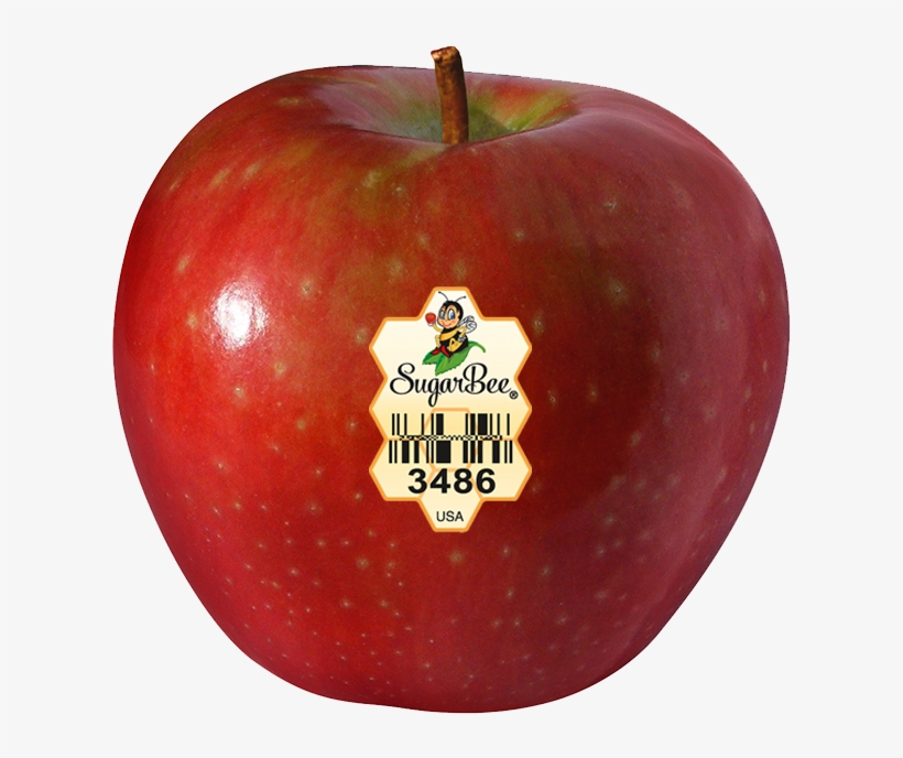 Apple Varieties - Sugarbee Apple, transparent png download