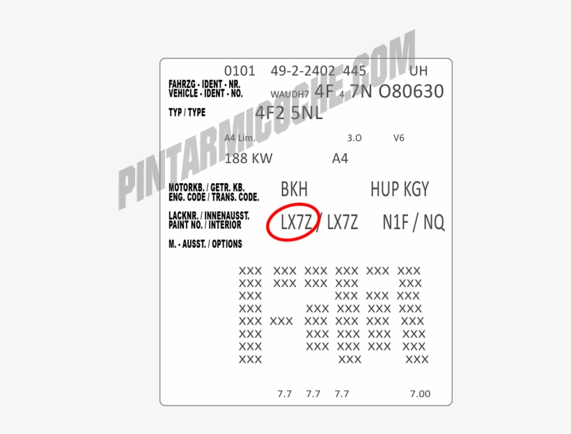 Ejemplo - Claim Evidence Warrant Example, transparent png download