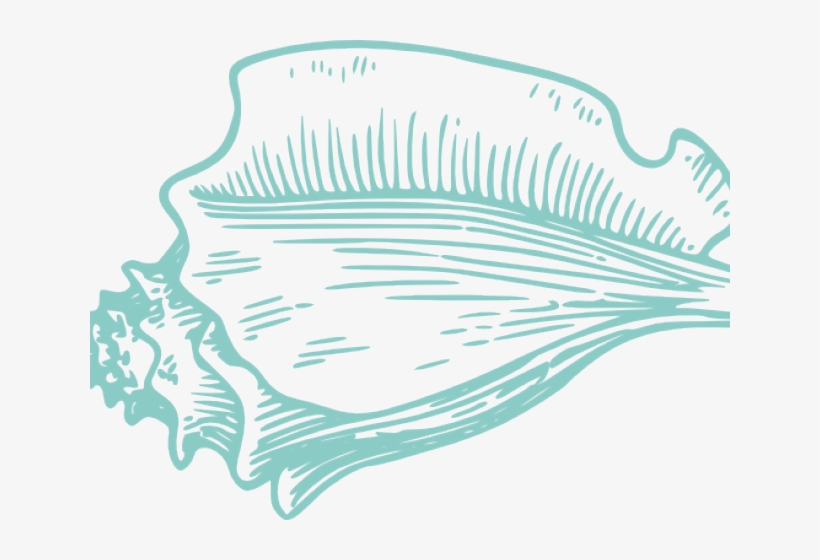 Clip Art Conch Shell Png, transparent png download