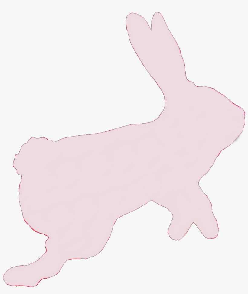 #rabbit #bunny #hare #pink #sticker #hop #hopping #jump - Domestic Rabbit, transparent png download