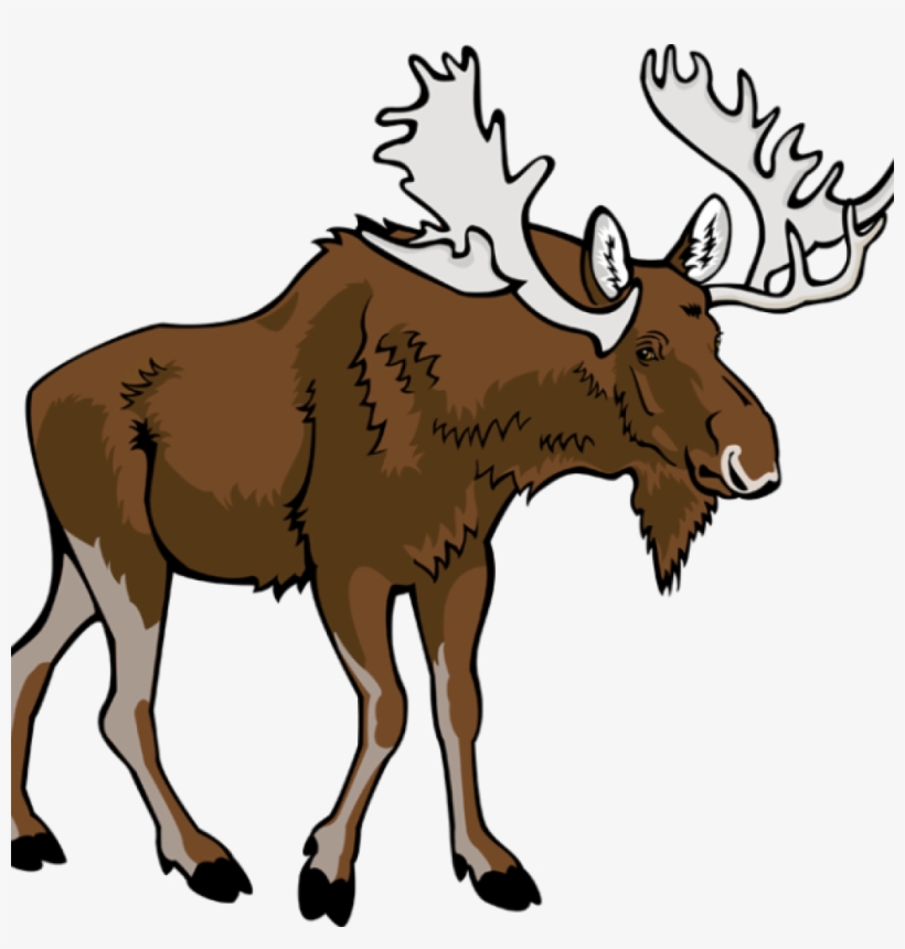 Thanksgiving Moose Graphic Stock Techflourish Collections Moose Clip Art Transparent Png Image Transparent Png Free Download On Seekpng