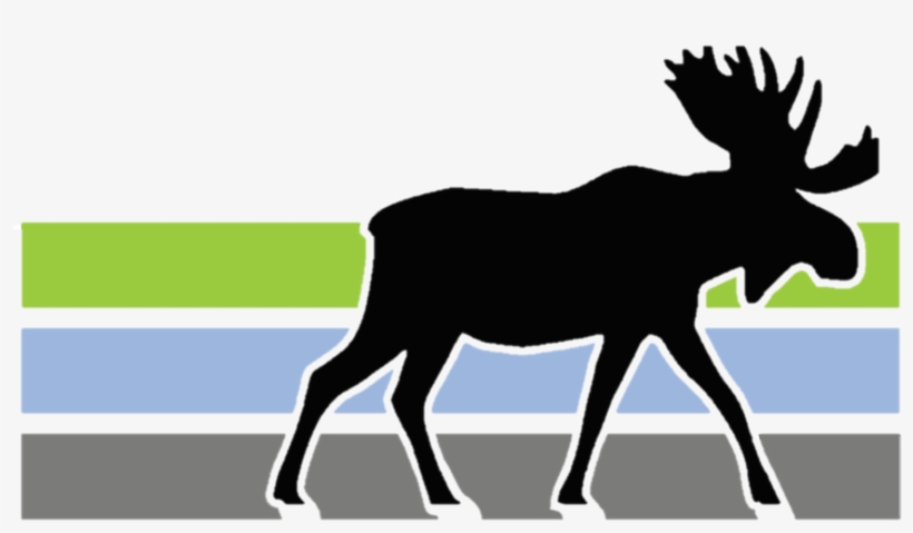 Moose Drawing, transparent png download