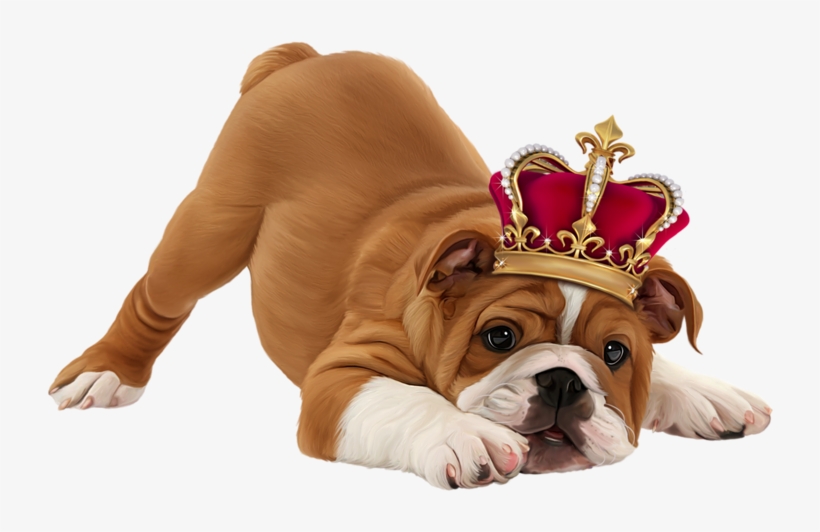 Share This Image - Dog With Crown Transparent, transparent png download