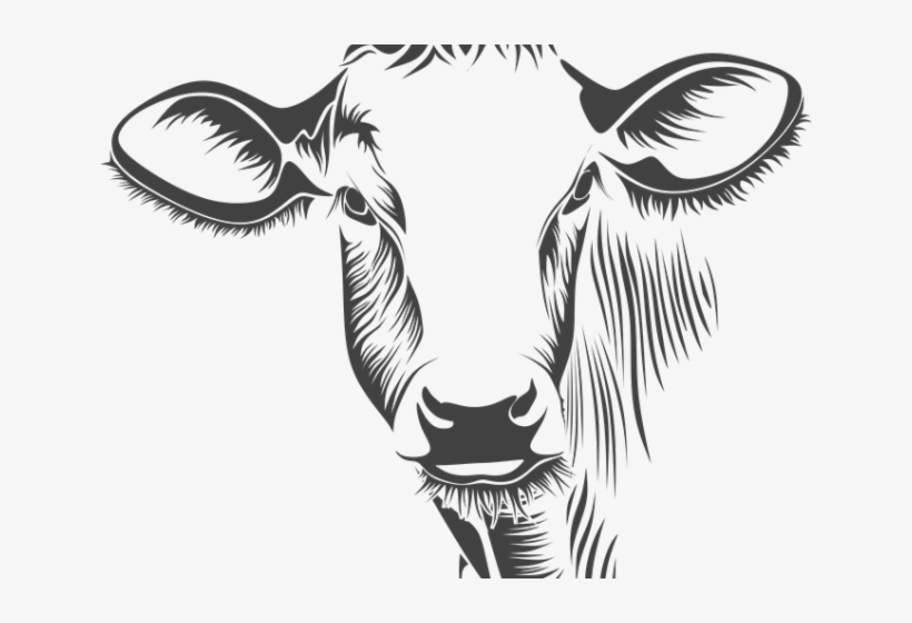 Drawn Meat Cartoon Cow - Cow Face On Canvas, transparent png download