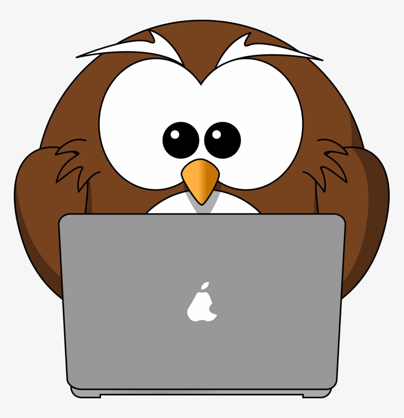 Cartoon Owl And Laptop Tim Png - Cartoon People On Computers, transparent png download