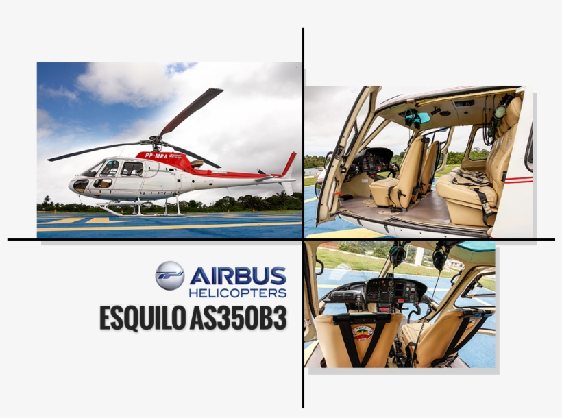 Descrição Da Aeronave - New Airbus, transparent png download