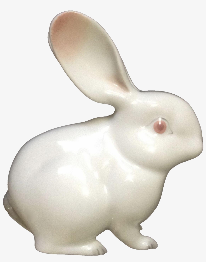 Kpm K Nigliche Porzellan Manufaktur Rare Ear - Domestic Rabbit, transparent png download
