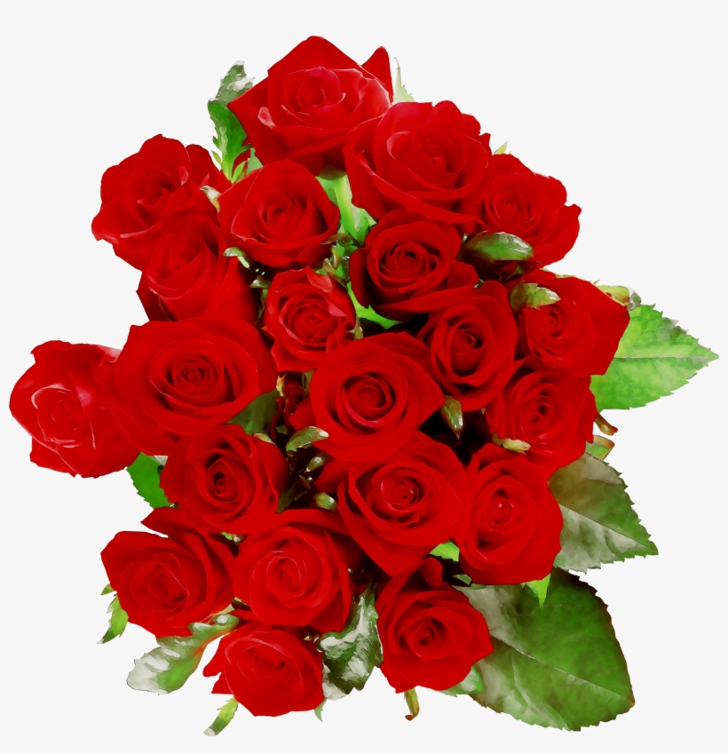 8dx Wa16 Quirkeee Roses Floribunda Cafe Garden Clipart - Floribunda, transparent png download