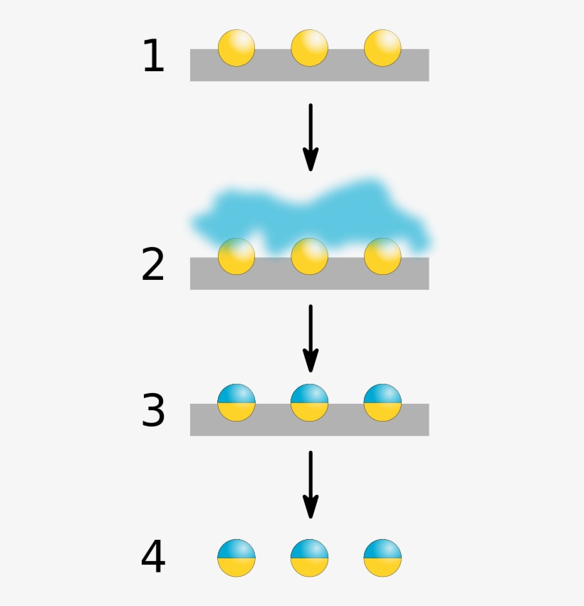 Masking - Synthesis Of Janus Particles, transparent png download
