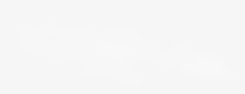 11 Apr 2011 - Twitter White Bird Logo, transparent png download
