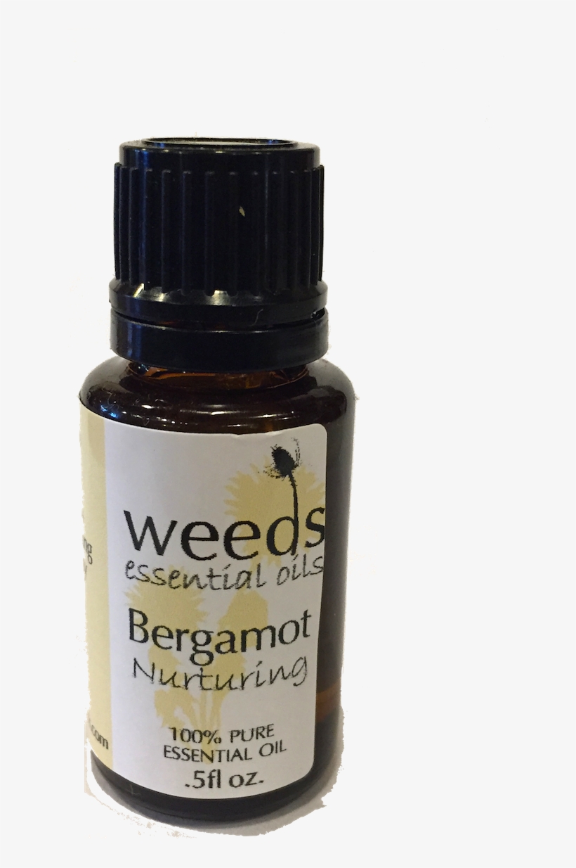 Fundacion Hogar Dulce Hogar, transparent png download