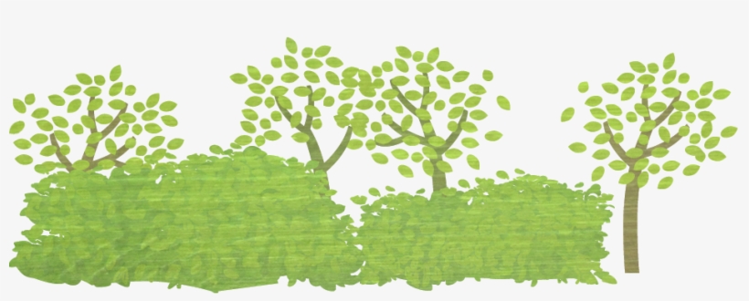 Previous - Tree, transparent png download