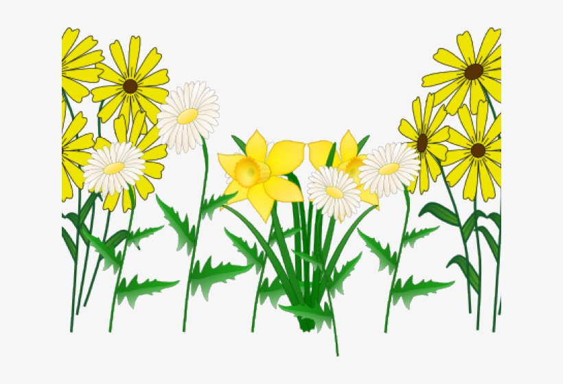 Daisy Clip Art, transparent png download