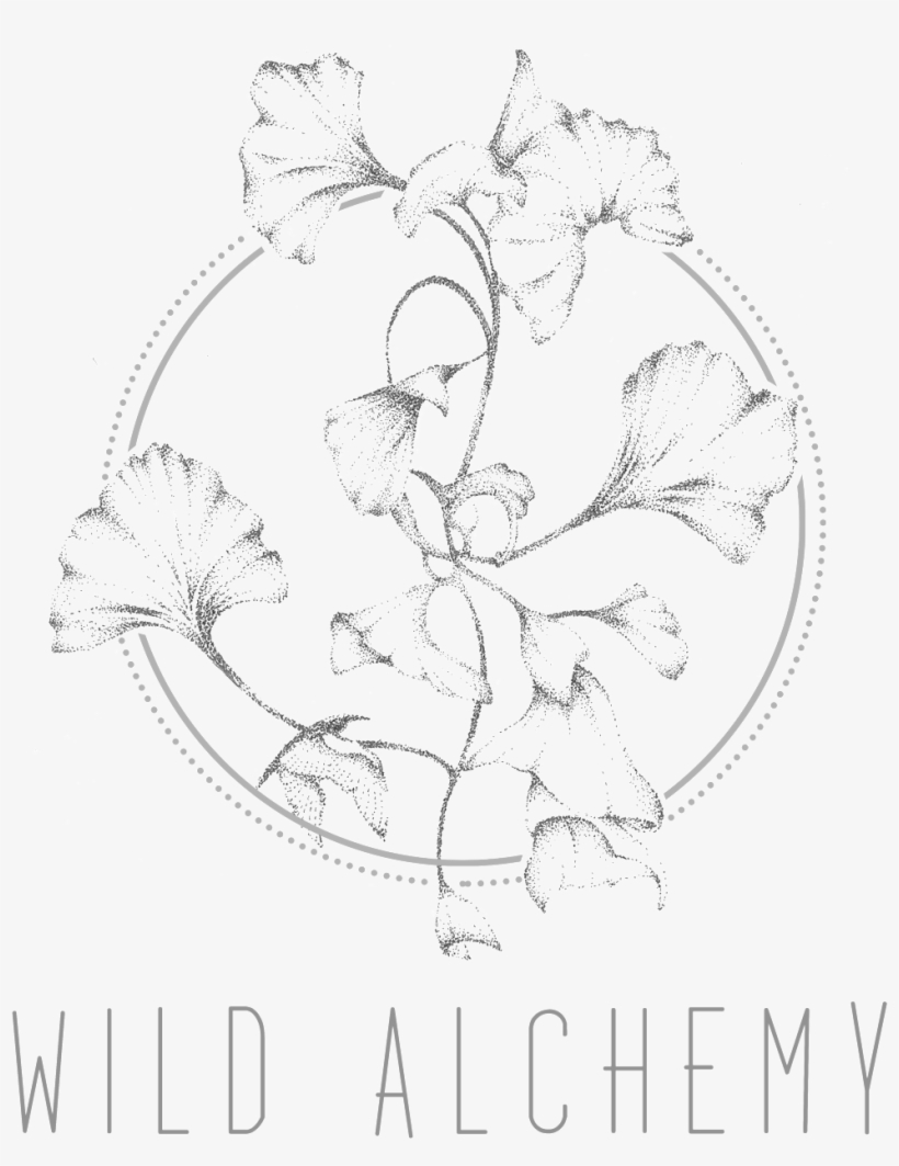 Wild Alchemy About - Mascara Da Chapeuzinho Vermelho, transparent png download