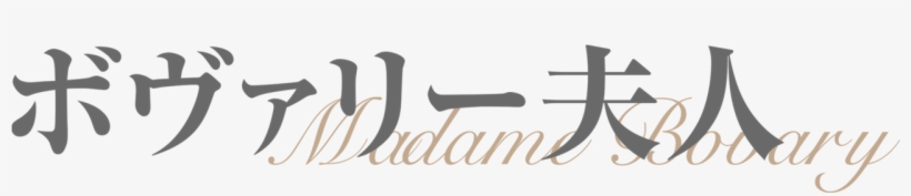 Madame Bovary - Soma Intimates, transparent png download