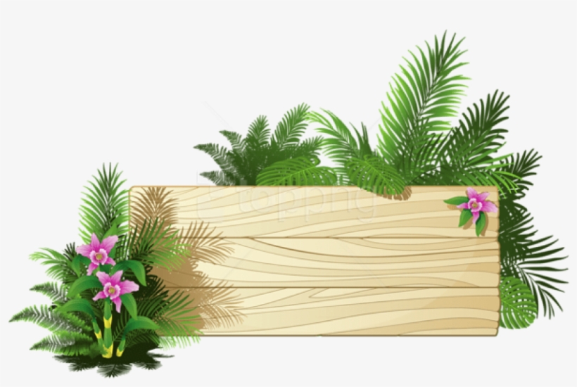 Exotic Board Png - Summer Board Clipart, transparent png download
