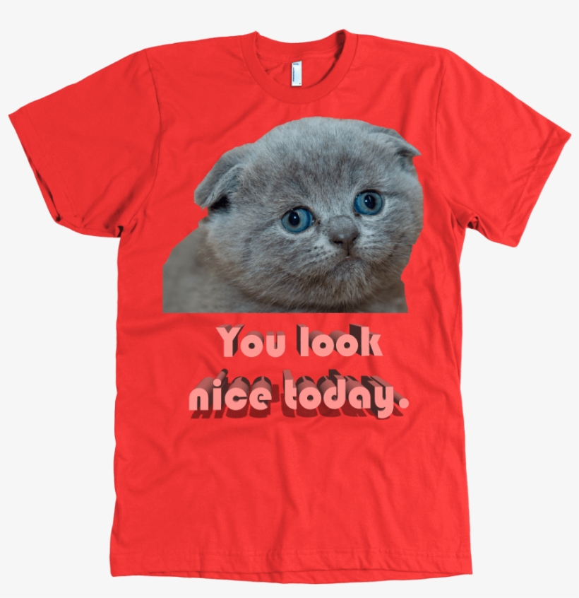 Shopping You Look Nice Tee American Apparel Mens / - T-shirt, transparent png download