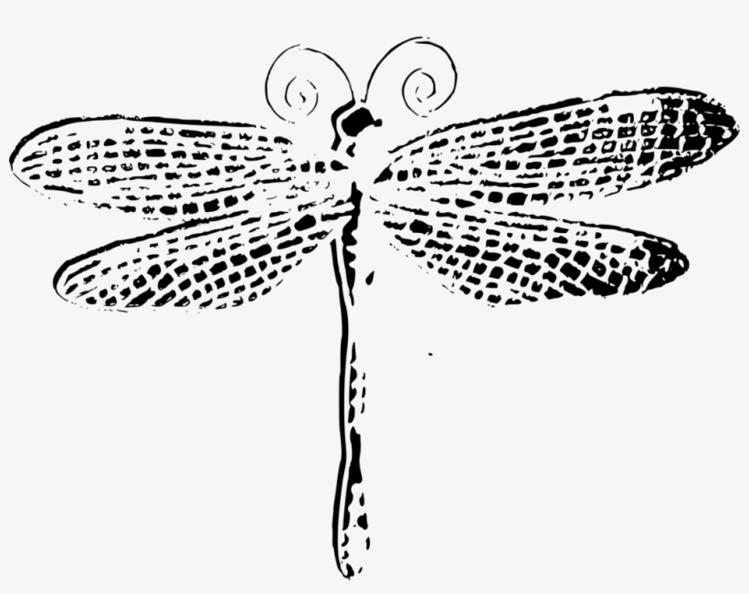 Dragonfly Computer Icons Drawing Animal Document - Black And White Dragonfly Drawing, transparent png download