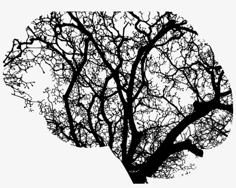 Why Do Neurons Not Regenerate - Brain And Tree, transparent png download