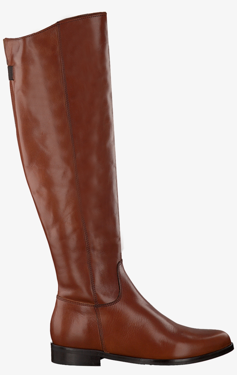 Cognac Lamica High Boots Tilde - Riding Boot, transparent png download