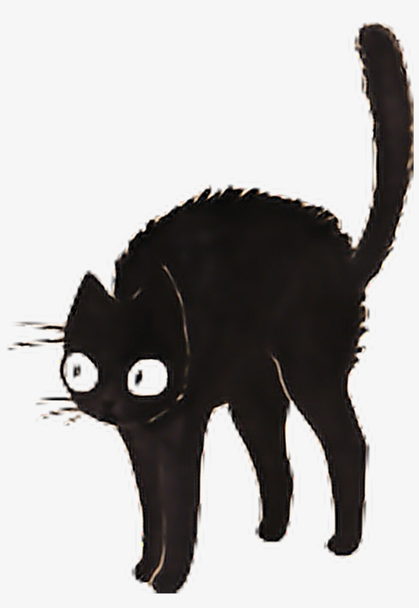 #cat #cats #black #blackcat #dark #tumblr #sticker - Cat, transparent png download