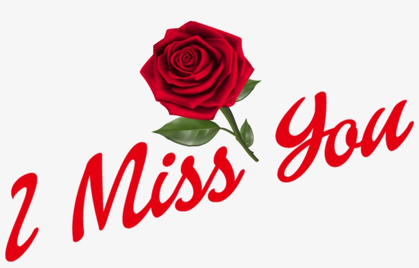 I Miss You Png Hd Images - Floribunda, transparent png download
