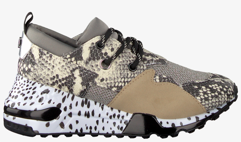 steve madden trainers cliff