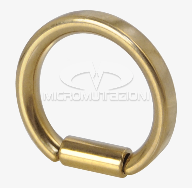 Gold Pvd D Section Ring Nose And Septum - Circle, transparent png download