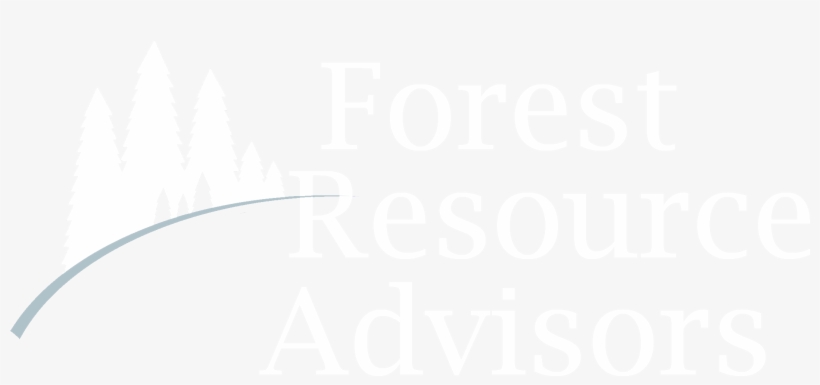 Connecting The Forest And Financial Returns - Illustration, transparent png download