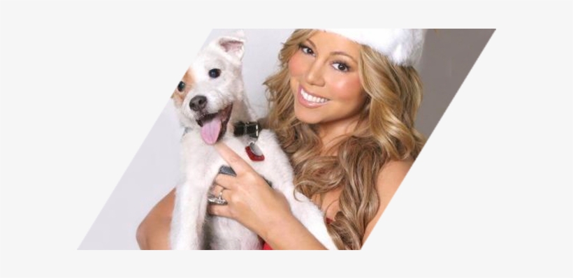Mariah Carey, All I Want For Christmas - Mariah Carey Santa Hat, transparent png download
