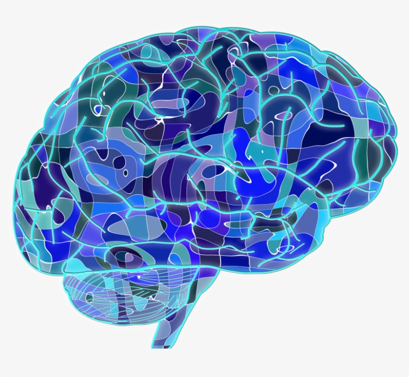 Cerebro Azul Brain Neuroscience PNG Image Transparent PNG Free 