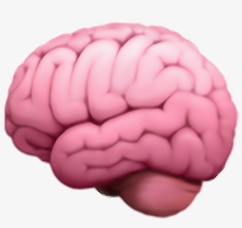 Cerebro Sticker - Brain Emoji Png, transparent png download