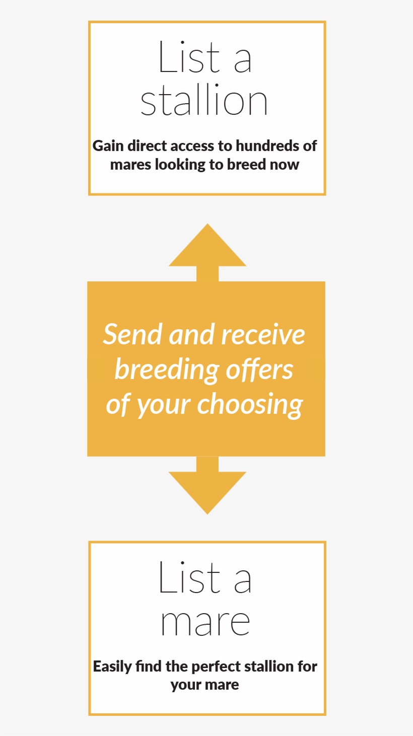 14 Dec 2018 - Poster, transparent png download